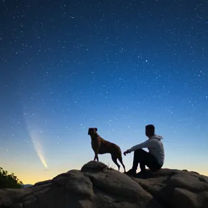A man and his dog are silhouette against a starry sky