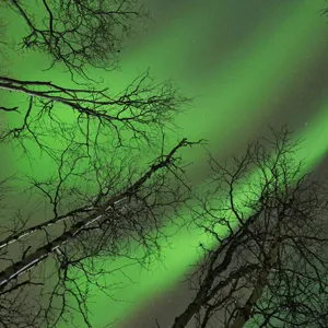 Green shot of Aurora Borealis