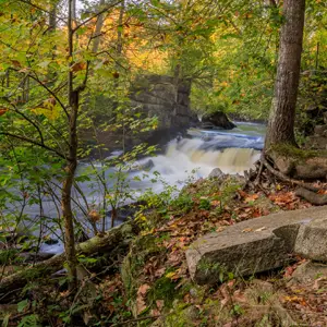 Small waterfall and stream runs through sun lit woods