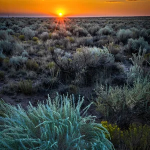 sunset in the desert