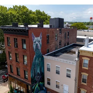 drone shot of a row of brick buildings. A mural of a bulldog is on the taller one.