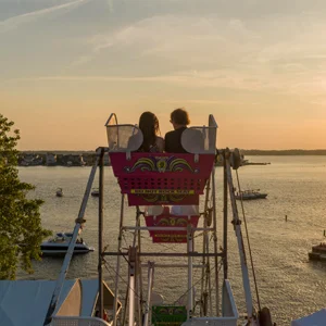 view of a couple sitting in a ferris wheel car from behind, looking into the watery sunset
