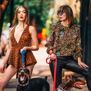 Two fashionable women with dobermans on leashes