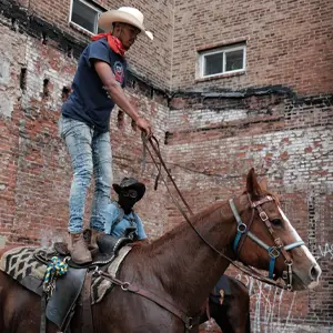 Man with cowboy hat standing on top of a horse